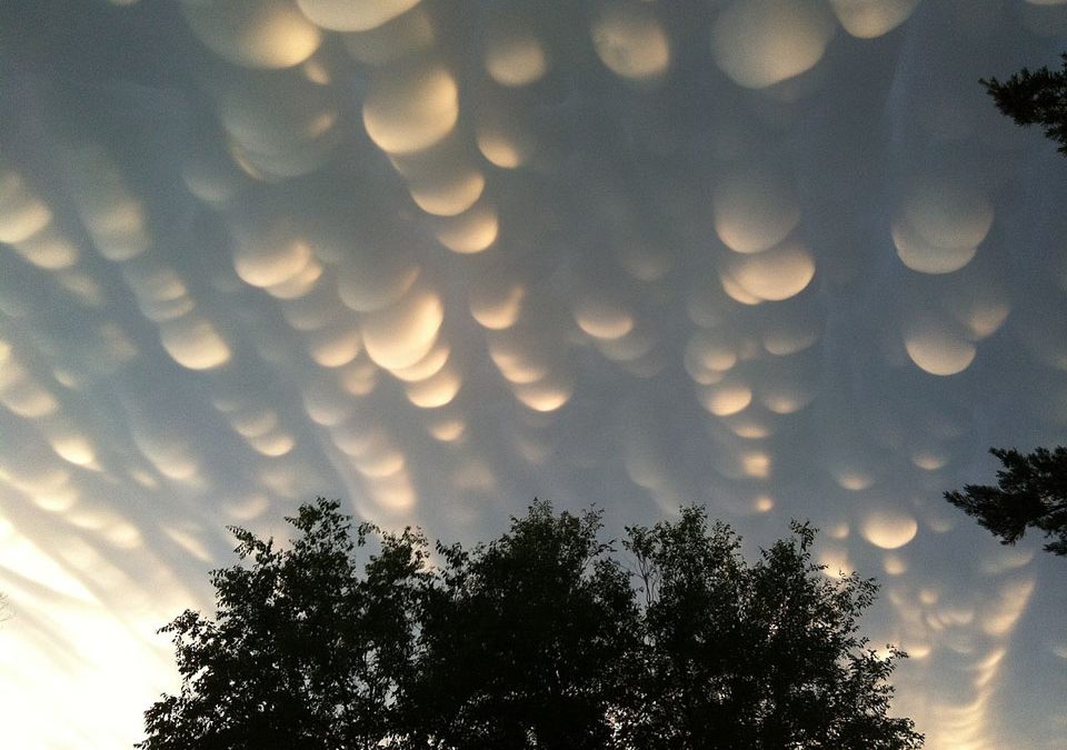 Mammatus over Saskatchewan